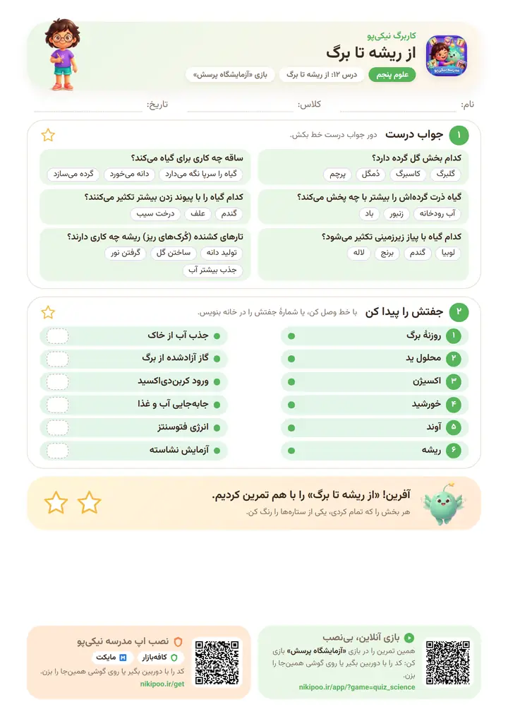 کاربرگ علوم پنجم درس ۱۲: از ریشه تا برگ — برگهٔ رنگی آمادهٔ چاپ