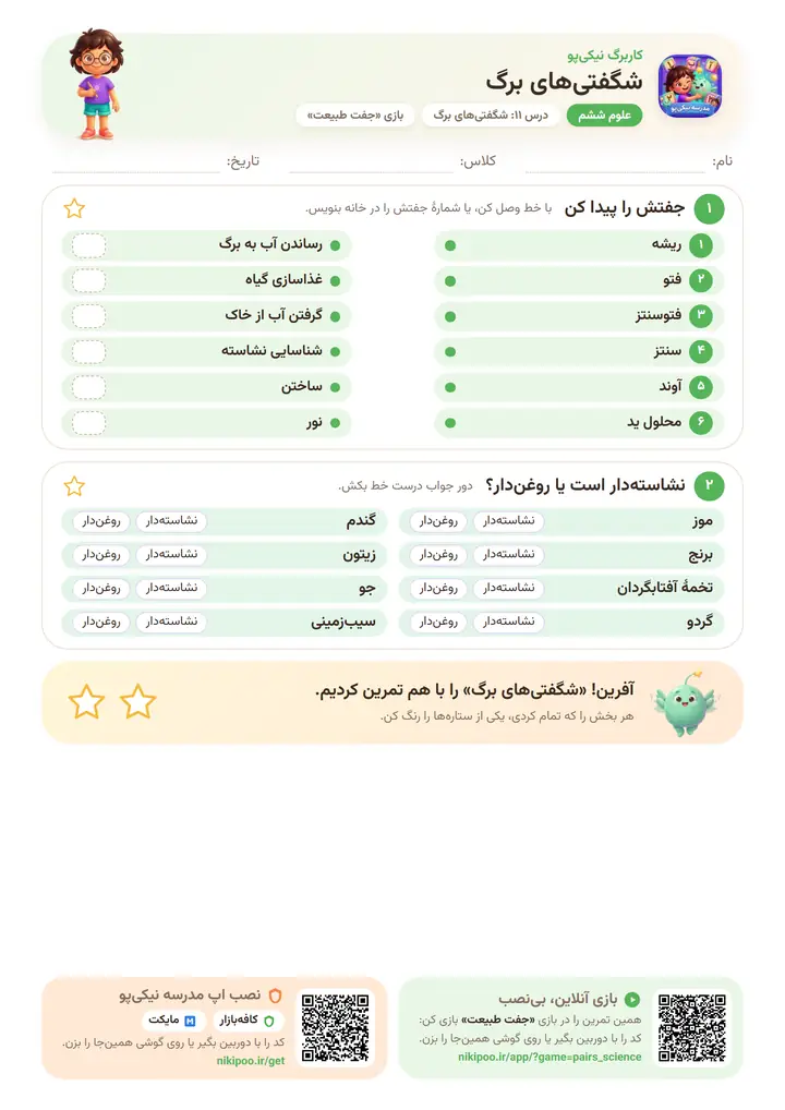 کاربرگ علوم ششم درس ۱۱: شگفتی‌های برگ — برگهٔ رنگی آمادهٔ چاپ