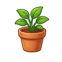 گیاه