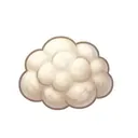 پشم